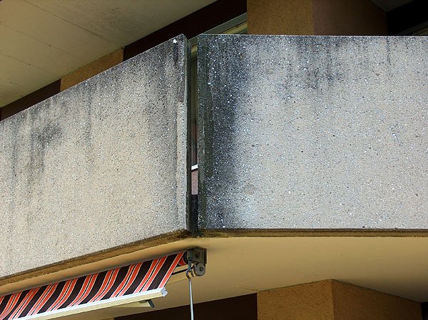 algen-pilze180